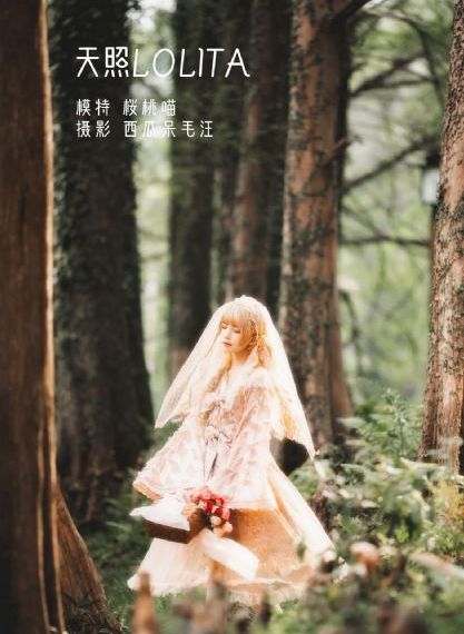欧美男同在线观看_1080在线播放观看