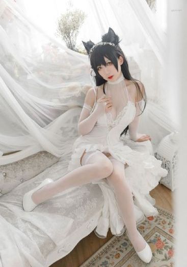 黑帮大佬和我365_1080影视在线观看